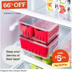 Kitchen Stuff Plus Fridgestor Berry Keeper Basket offer