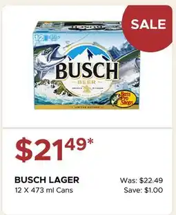 The Beer Store BUSCH LAGER offer