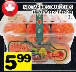 Supermarché PA NECTARINES OU PÊCHES | Nectarines or Peaches offer