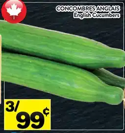 Supermarché PA CONCOMBRES ANGLAIS | English Cucumbers offer