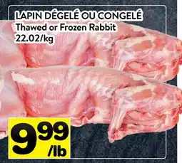 Supermarché PA LAPIN DÉGELÉ OU CONGELE | Thawed or Frozen Rabbit offer