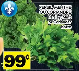 Supermarché PA PERSIL, MENTHE OU CORIANDRE | Parsley, Mint or Coriander offer