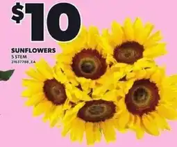 Independent Grocer Sunflowers offer