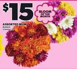 Independent Grocer Assorted mum offer