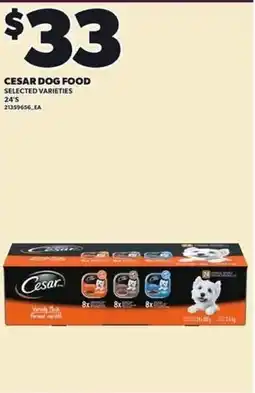 Independent Grocer Cesar dog food offer