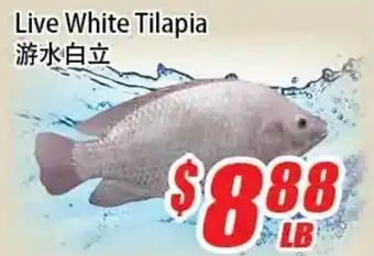 WinCo Food Mart Live White Tilapia offer