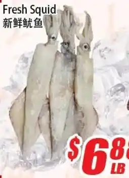 WinCo Food Mart Fresh Squid offer