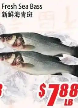 WinCo Food Mart Fresh Sea Bass offer