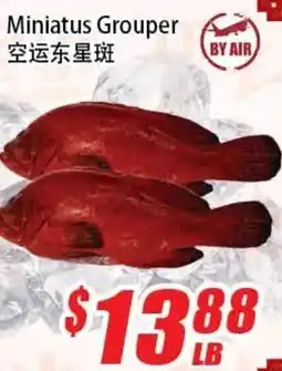 WinCo Food Mart Miniatus Grouper offer