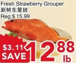 Yours Food Mart Fresh Strawberry Grouper offer