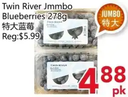 Yours Food Mart Twin River Jmmbo Blueberries offer