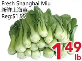 Yours Food Mart Fresh Shanghai Miu offer