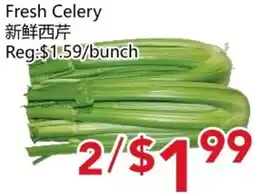 Yours Food Mart Fresh Celery offer