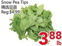 Yours Food Mart Snow Pea Tips offer