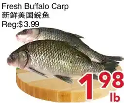 Yours Food Mart Fresh Buffalo Carp offer