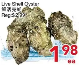 Yours Food Mart Live Shell Oyster offer
