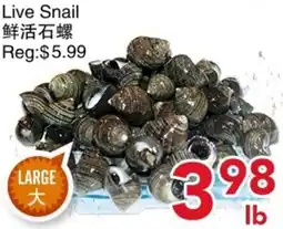 Yours Food Mart Live Snail offer