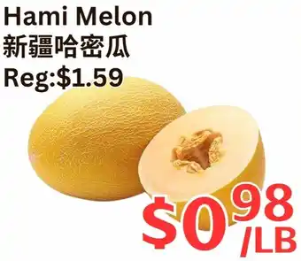 Hami Melon