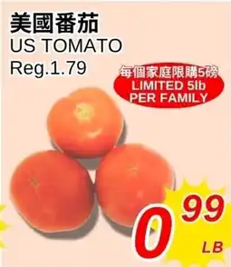 Foody World US Tomato offer