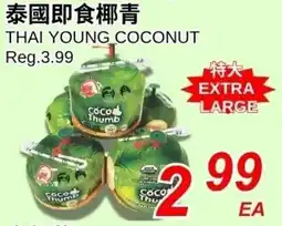 Foody World Thai young coconut offer