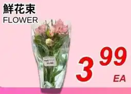 Foody World Flower offer