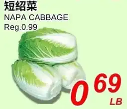Foody World Napa Cabbage offer