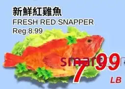 Foody World Fresh red snapper offer