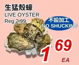 Foody World Live Oyster offer