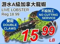 Foody World Live Lobster offer
