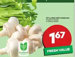 Giant Tiger 227 g whole white mushrooms offer