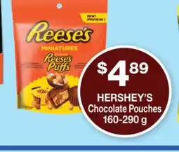 Wholesale Club CHOCOLATE POUCHES offer