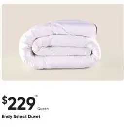Sleep Country Endy Select Duvet offer