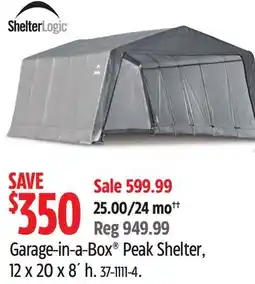 Canadian Tire ShelterLogic Garage-in-a-Box Peak Shelter offer