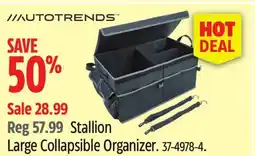 Canadian Tire Autotrends Stallion Large Collapsible Organizer offer