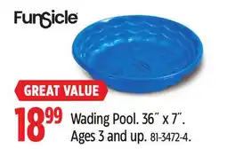 Canadian Tire Funsicle Wading Pool offer