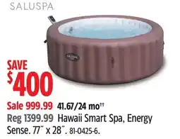 Canadian Tire Hawaii Smart Spa, Energy Sense offer