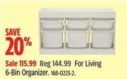 Canadian Tire For Living 6-Bin Organizer offer