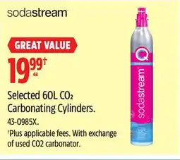 Canadian Tire Selected 60L CO2 Carbonating Cylinders offer
