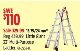 Canadian Tire Little Giant 22' Multi-Purpose Ladder offer