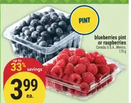 Marché Adonis blueberries pint or raspberries offer