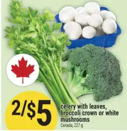 Marché Adonis Celery with leaves, broccoli crown or white mushrooms offer