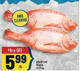 Marché Adonis Whole red tilapia offer