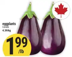 Marché Adonis Eggplants offer