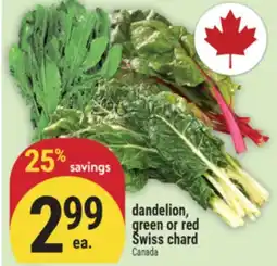 Marché Adonis dandelion, green or red Swiss chard offer