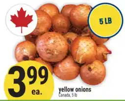 Marché Adonis Yellow onions offer
