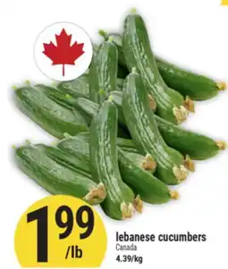 Marché Adonis lebanese cucumbers offer