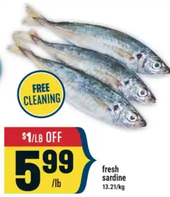 Marché Adonis fresh sardine offer