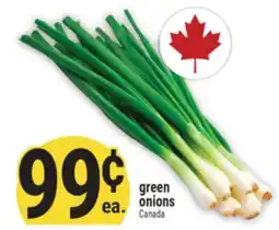 Marché Adonis Green onions offer