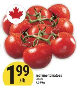 Marché Adonis red vine tomatoes offer