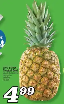 Marché Richelieu GROS ANANAS TROPICAL GOLD | LARGE GOLDEN PINEAPPLE offer
